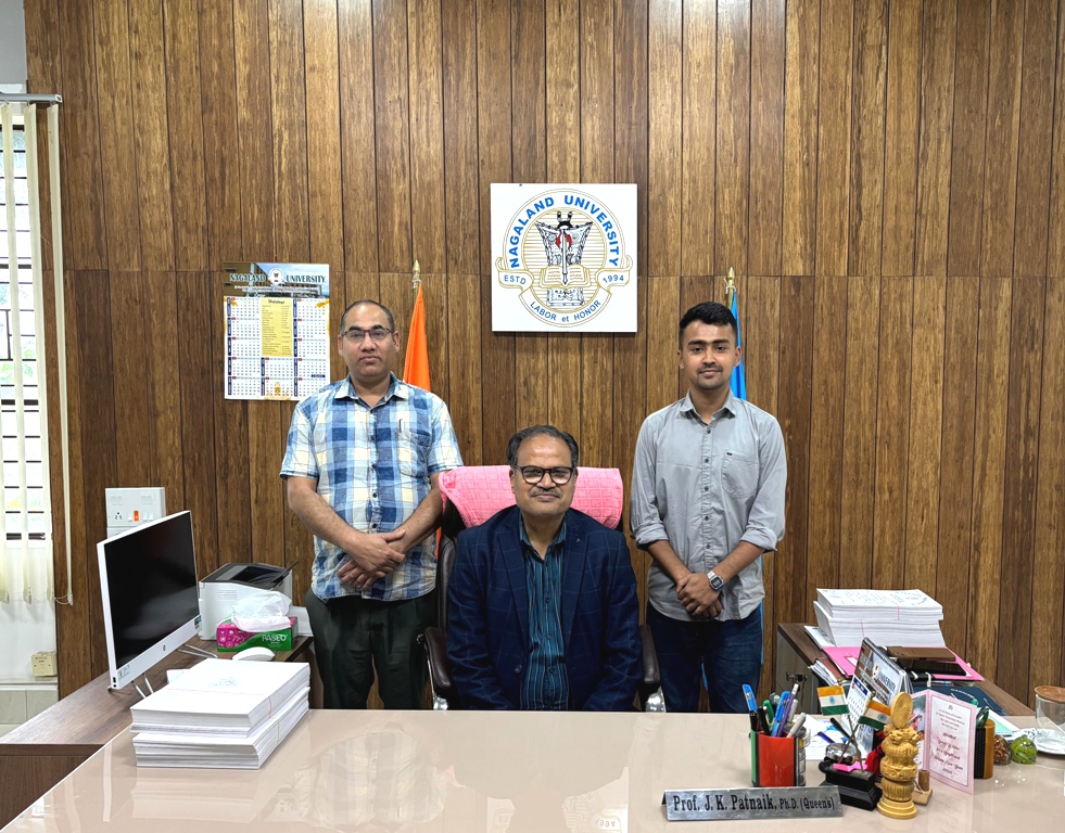 Nagaland University scholar gets Norwegian grant for battery research