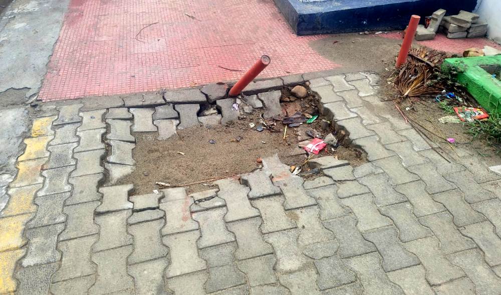 Telecom firm accused of negligence in damaging Dimapur's vertical garden