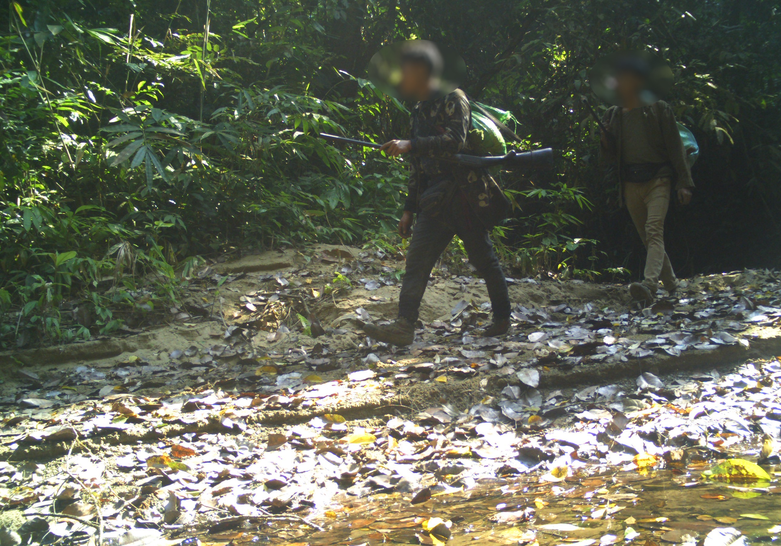 Inside intangki and khelia, where every animals on camera is also a target