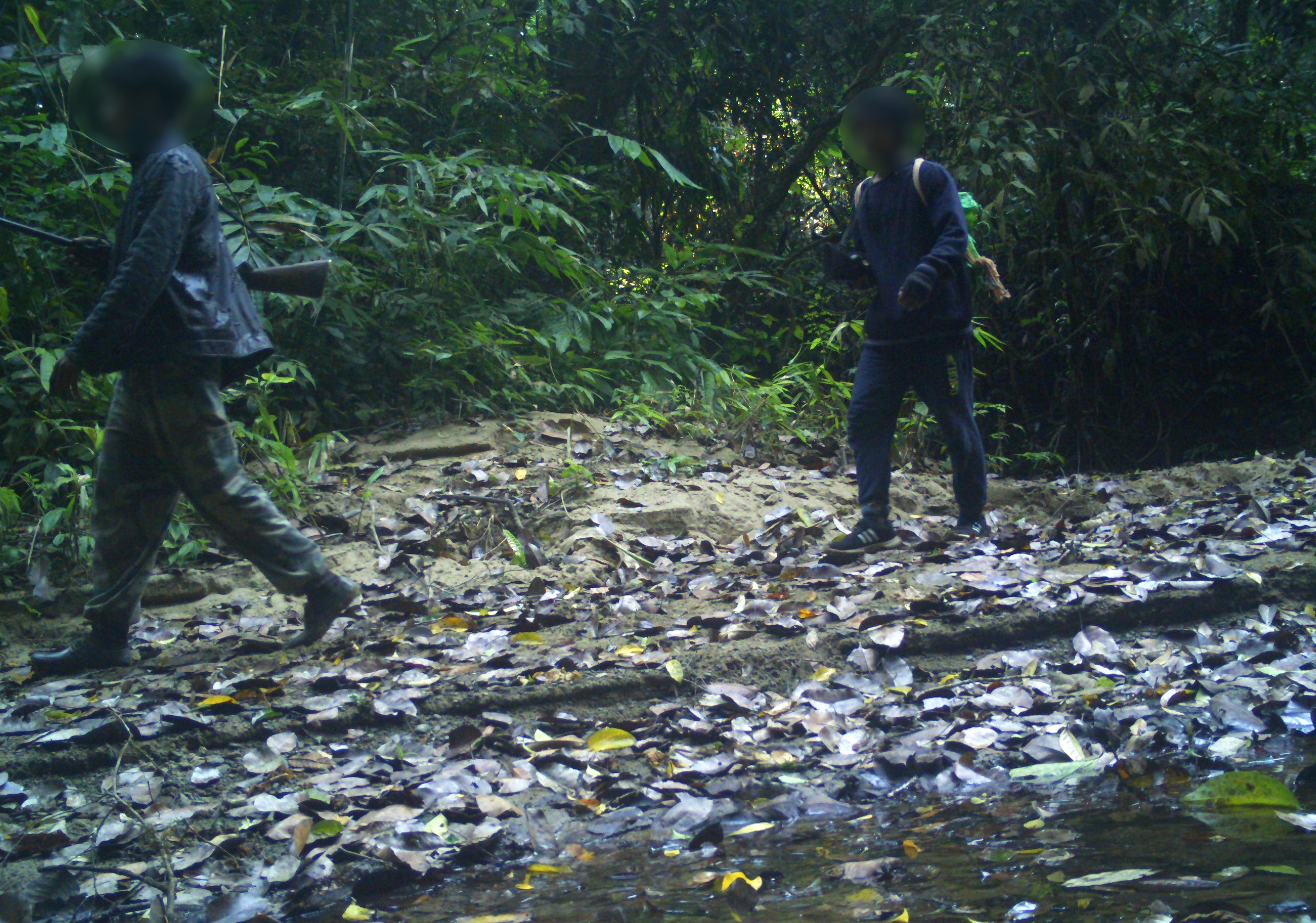 Inside intangki and khelia, where every animals on camera is also a target