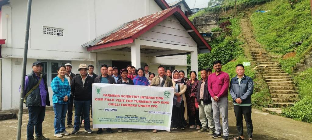 KVK Peren organises field visit for turmeric and king chilli farmers