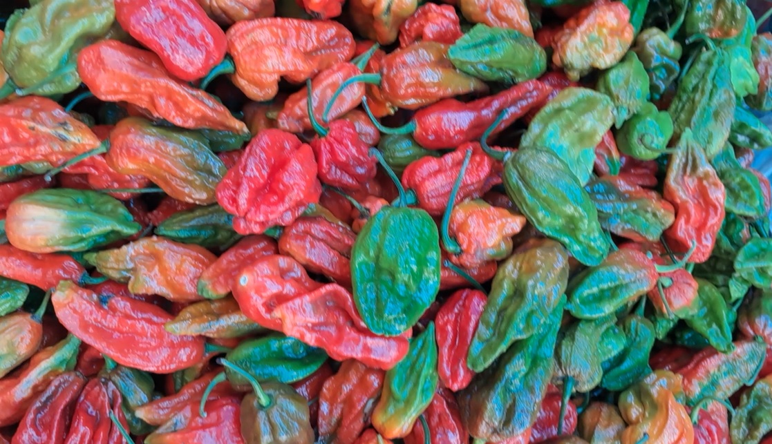 Naga King Chilly