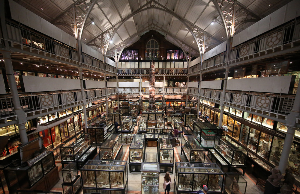 Naga delegation visits Pitt Rivers Museum to discuss repatriation of ancestral remains