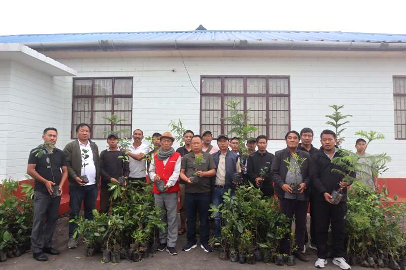 Satakha launches second phase tree plantation drive
