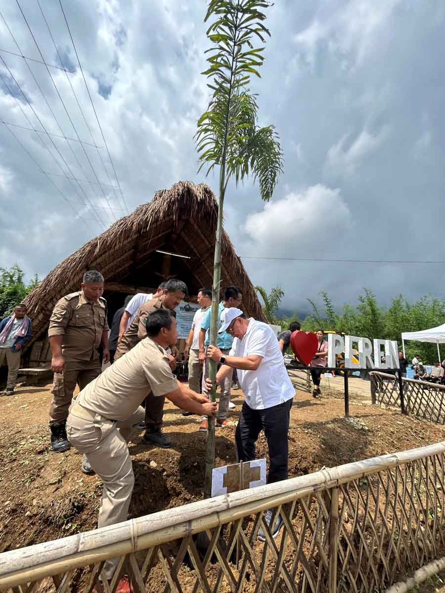 World Environment Day celebrated across Nagaland