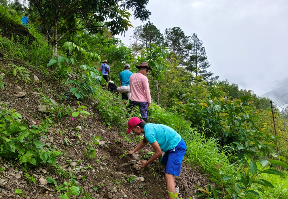 Youth ministry conducts plantation drive in Kiphire school
